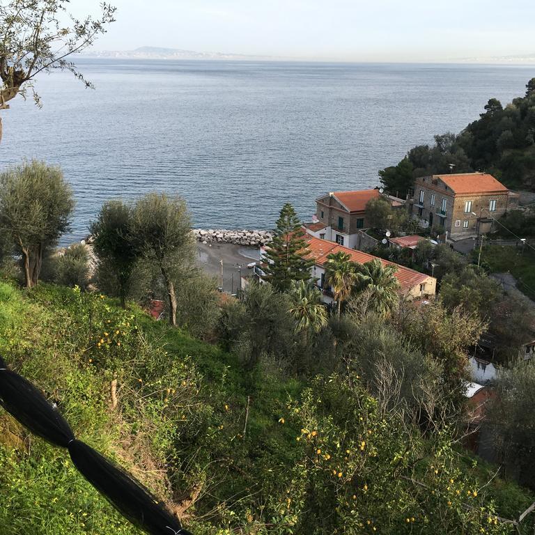 Villa Rosmary - Sorrento Coast - Gulf Of Naples View Exterior foto
