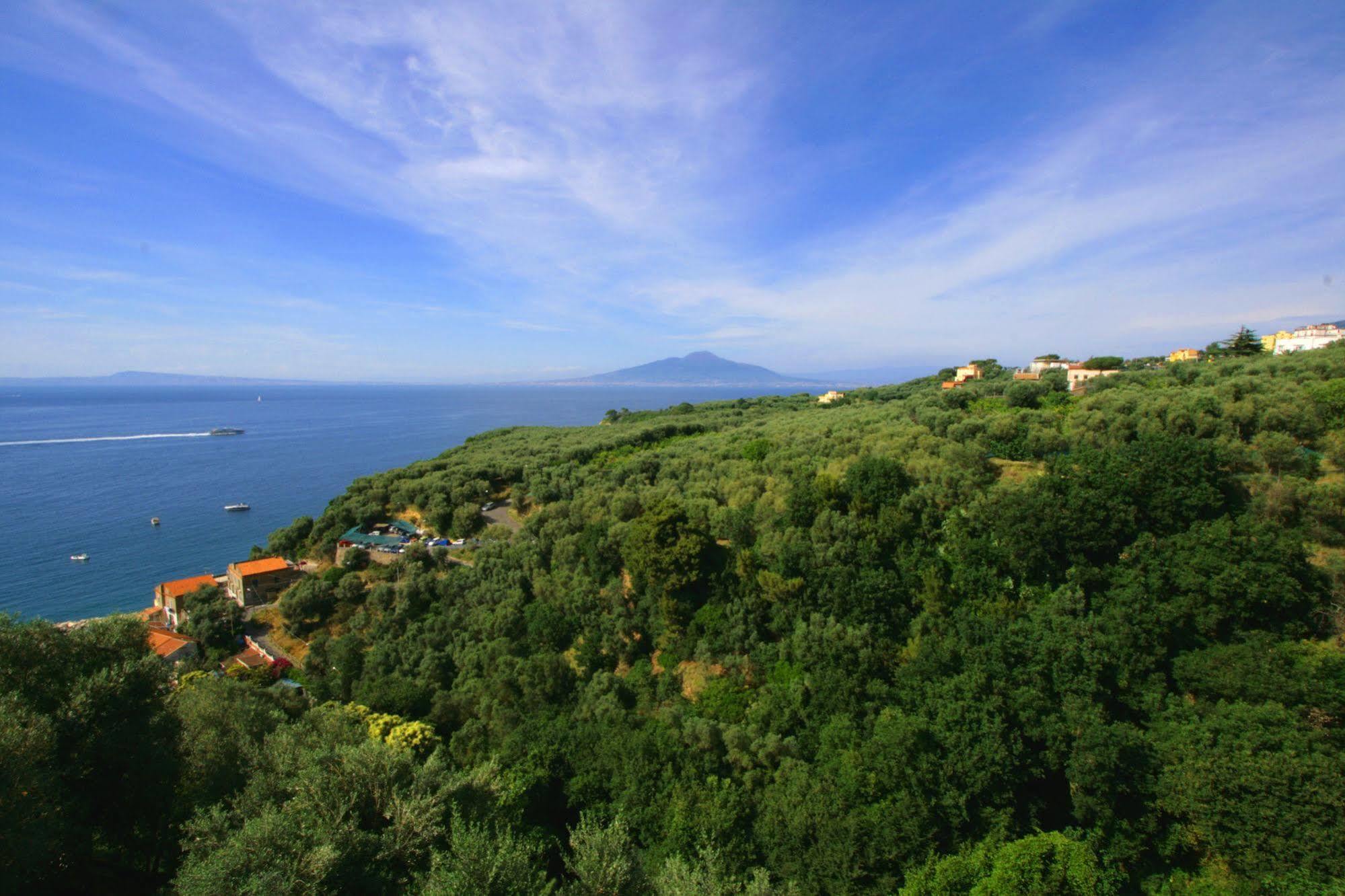 Villa Rosmary - Sorrento Coast - Gulf Of Naples View Exterior foto