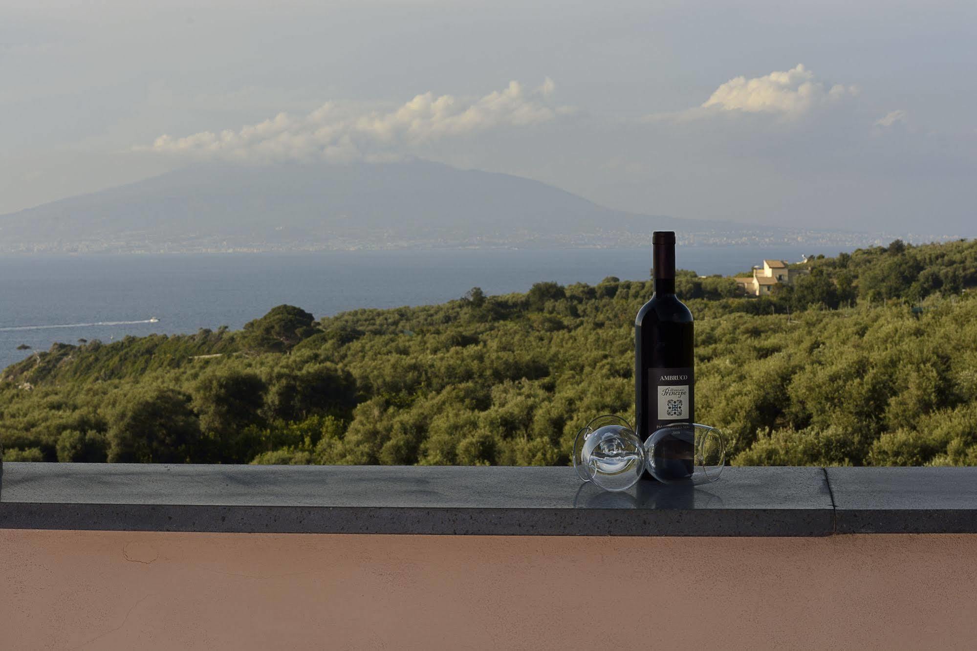 Villa Rosmary - Sorrento Coast - Gulf Of Naples View Exterior foto
