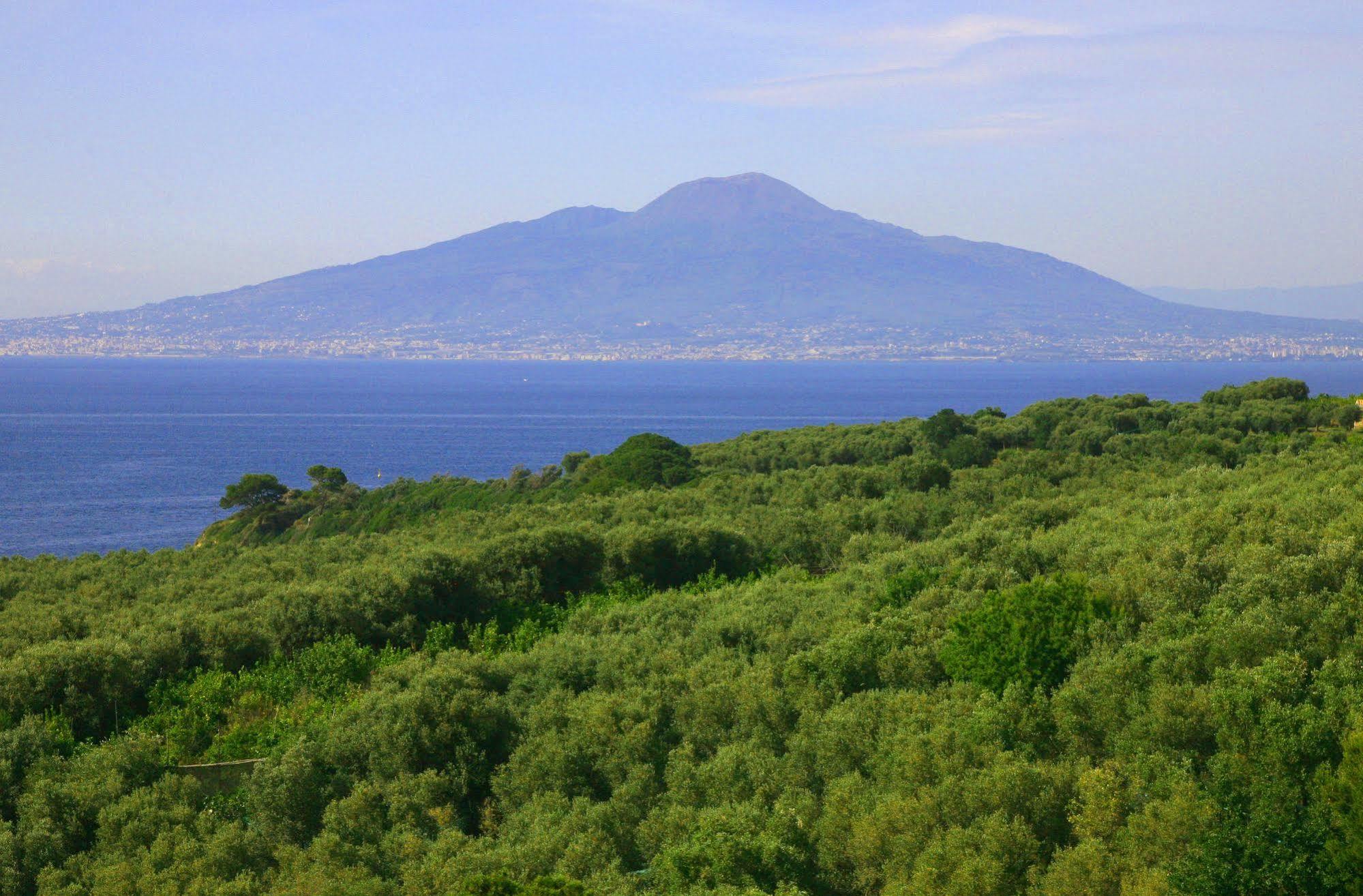 Villa Rosmary - Sorrento Coast - Gulf Of Naples View Exterior foto