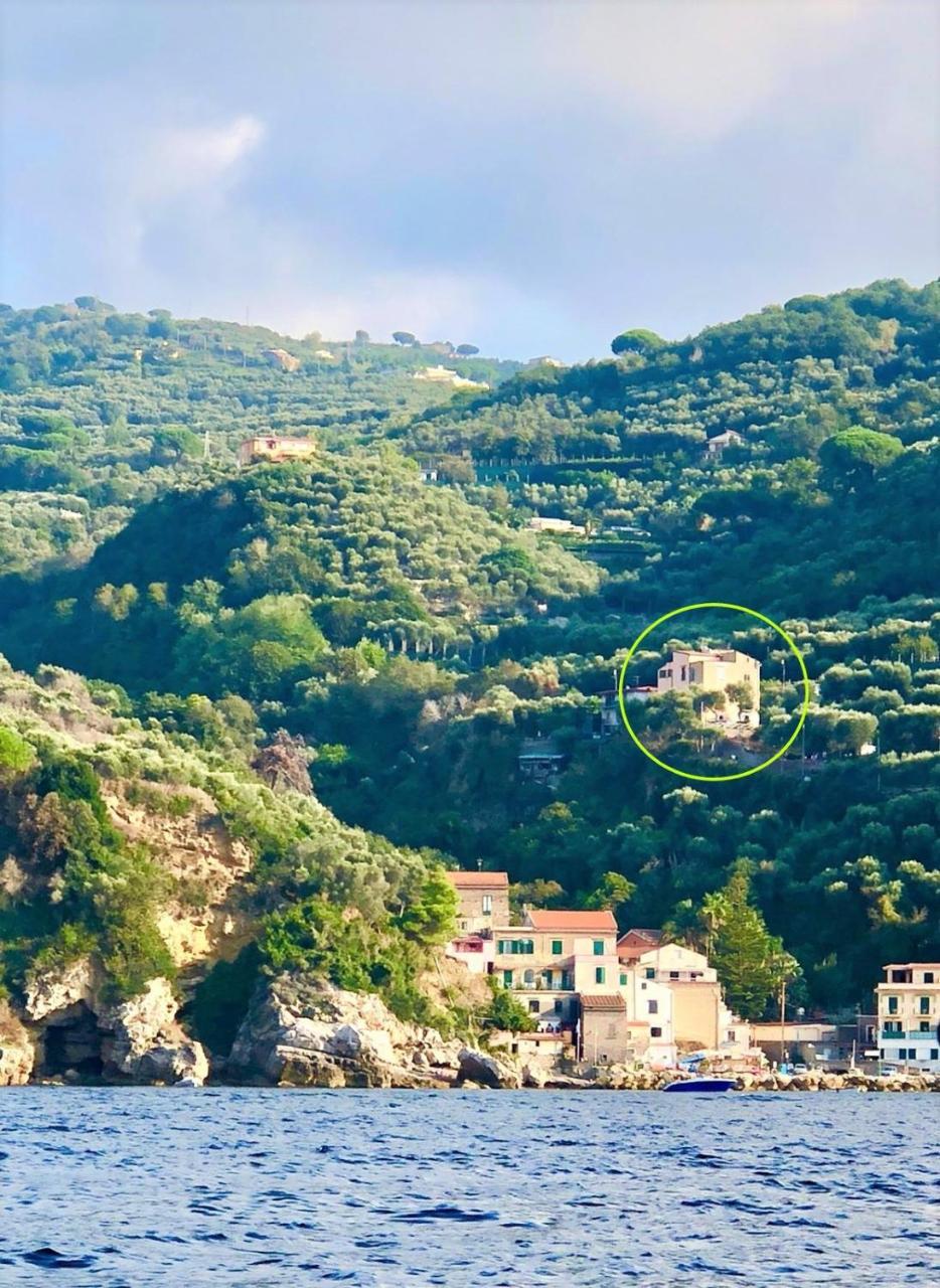 Villa Rosmary - Sorrento Coast - Gulf Of Naples View Exterior foto